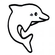 幼儿园海豚简笔画图片