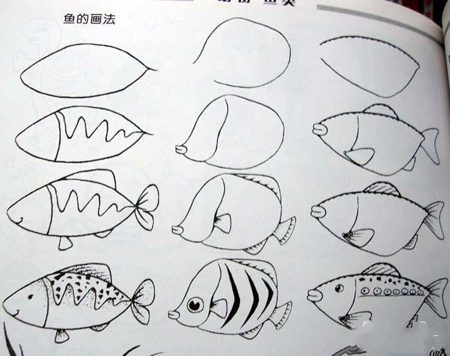 各种鱼的简笔画画法大全