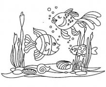幼儿海底世界简笔画图片：漂亮的小鱼