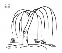 柳树简笔画