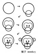 猴子头部简笔画画法