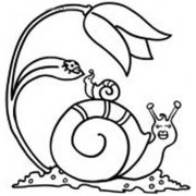 可爱的儿童简笔画:大蜗牛与小蜗牛