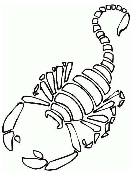 蝎子化石简笔画图片