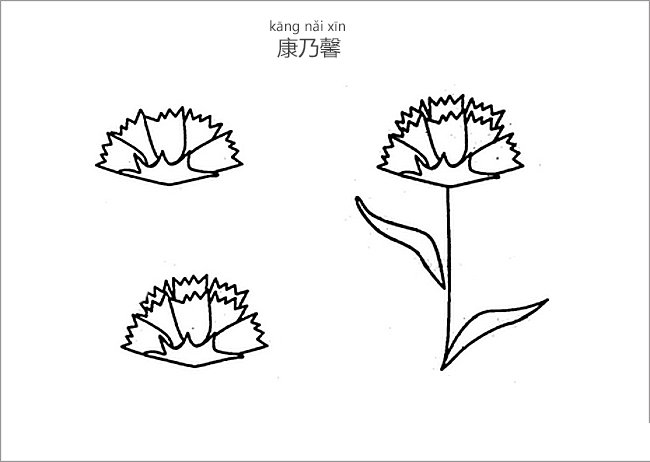 康乃馨简笔画