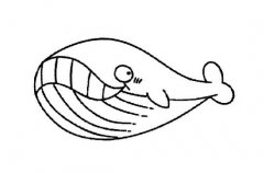 幼儿鲸鱼简笔画图片