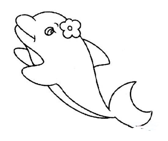 可爱雌性海豚简笔画图片