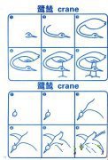 如何画鹭鸶简笔画