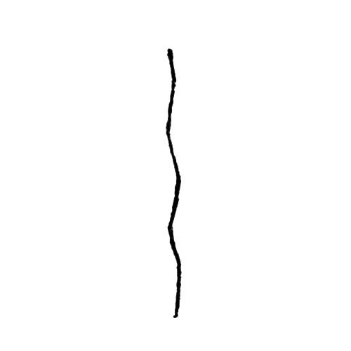 1.画出一条弯弯曲曲的茎。