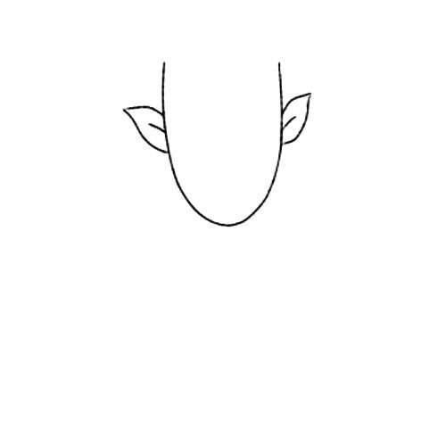 2.画出树叶型的尖耳朵。