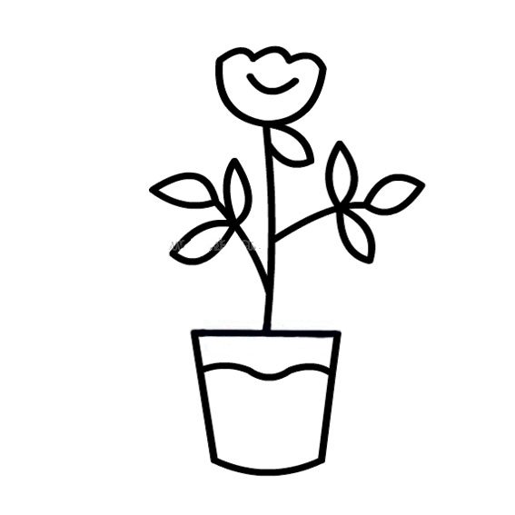 一组简单的盆栽小花简笔画
