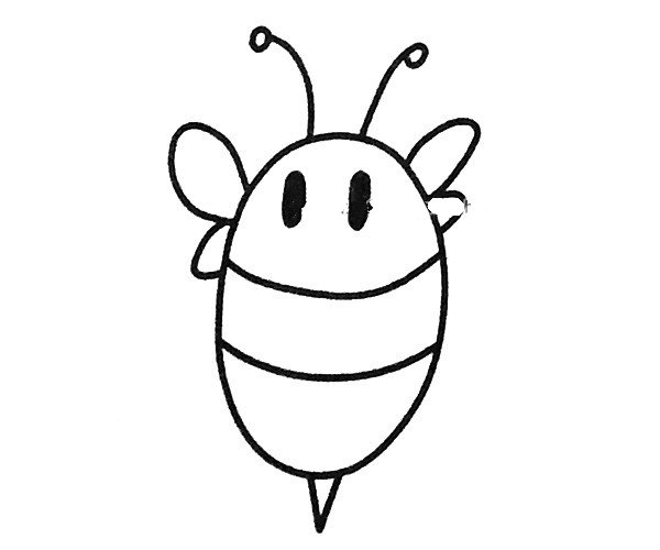 卡通蜜蜂简笔画步骤4