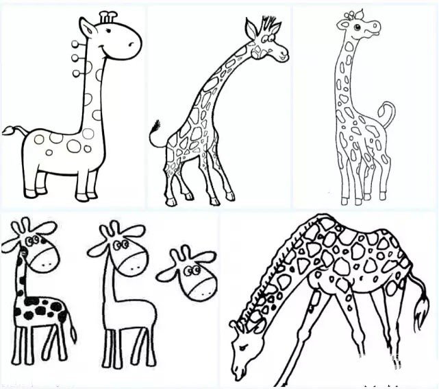 几种长颈鹿的简单画法