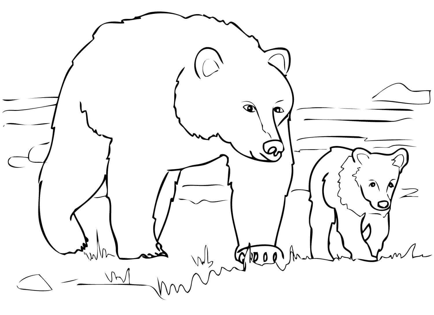 灰熊妈妈和小灰熊