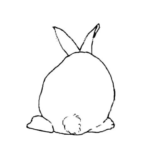 4.最后画耳朵的形状，只画外轮廓，这样就是兔子的背面了。