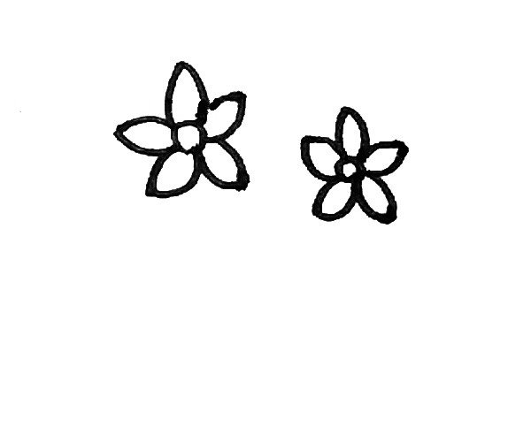 第三步：用同样的方法在旁边也画上一朵水仙花。