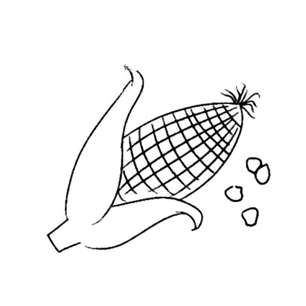 漂亮的玉米简笔画图片