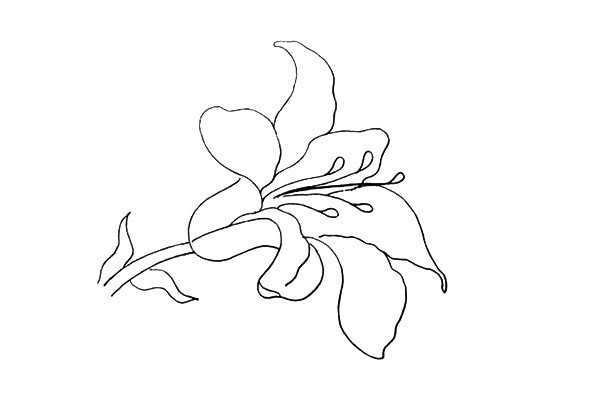 第九步:在花朵的中间画出一个雨滴的形状是它的花蕊。