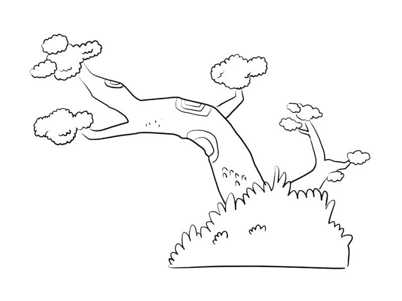 奇形怪状的松树简笔画