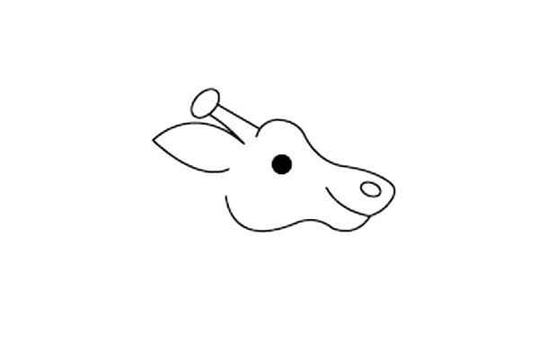 2.在头部上方给长颈鹿画上耳朵和鹿角。