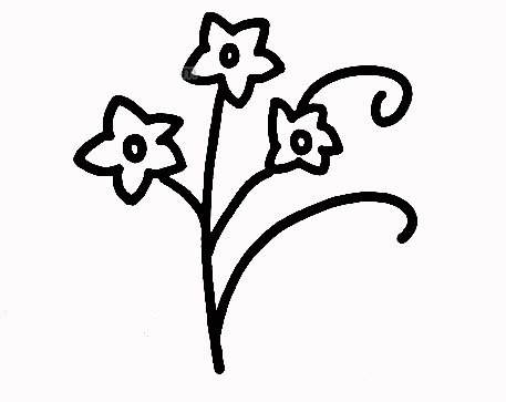 水仙花的简单画法