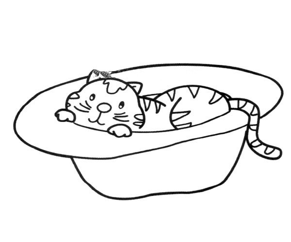 洗澡盆里的小猫