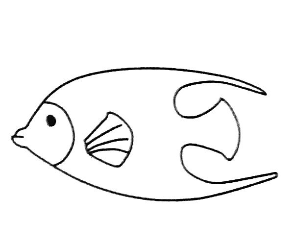 神仙鱼简笔画图片1
