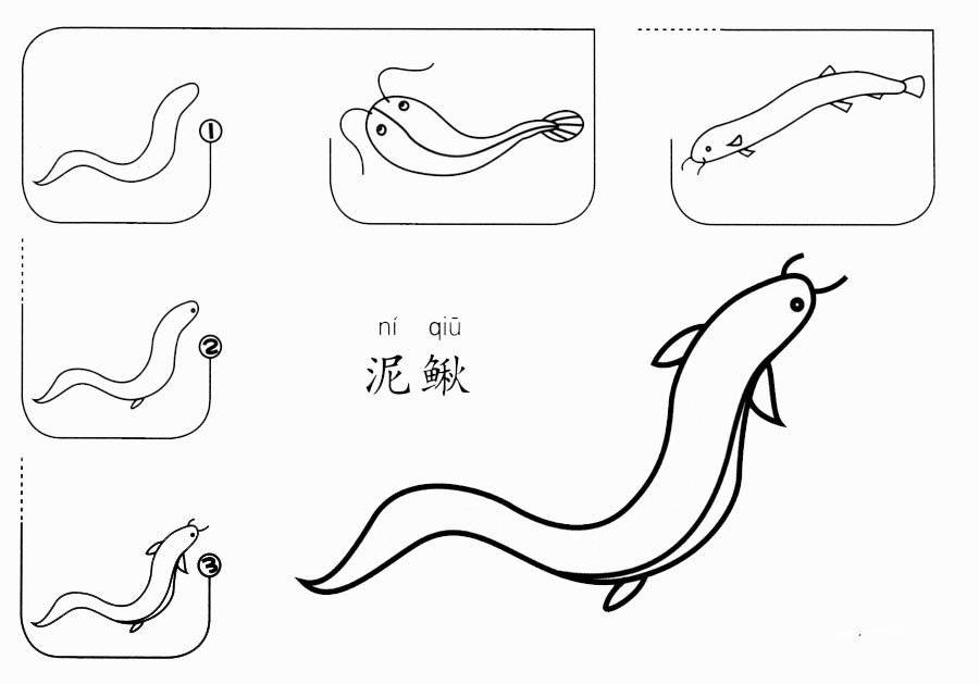 泥鳅怎么画