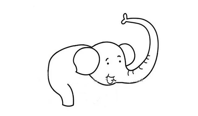 第四步  然后从左边耳朵和脑袋的连接处画出大象的后背，从后背延伸到腿部。