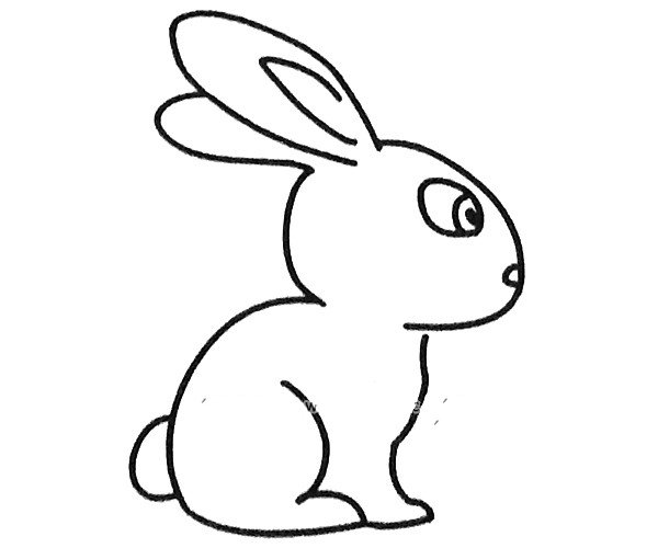 小兔子简笔画图片5