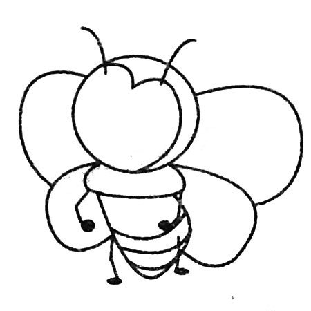 蜜蜂简笔画图片大全及画法步骤