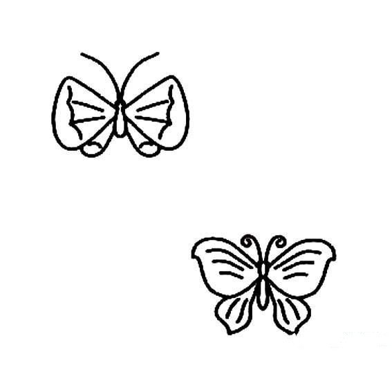飞舞的蝴蝶简笔画图片