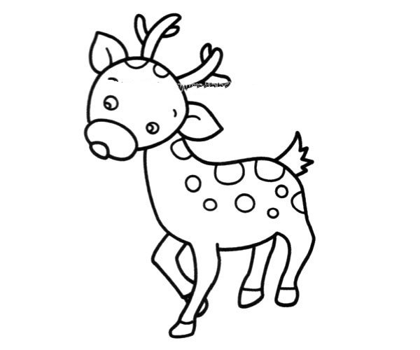 可爱的小梅花鹿