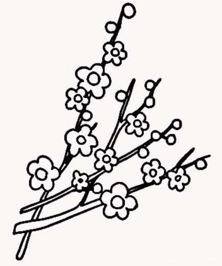梅花树的树枝简笔画图片