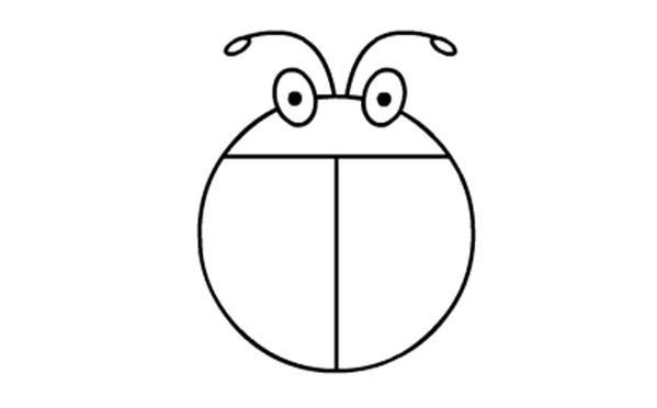 甲壳虫、七星瓢虫的画法分解步骤