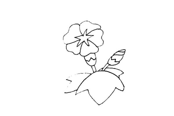 第五步：给喇叭花画上一片大叶子，旁边画上两片小的叶子。