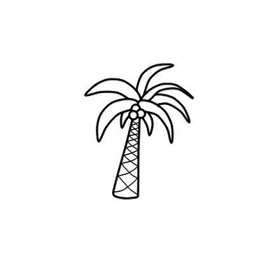 幼儿椰子树简笔画画法