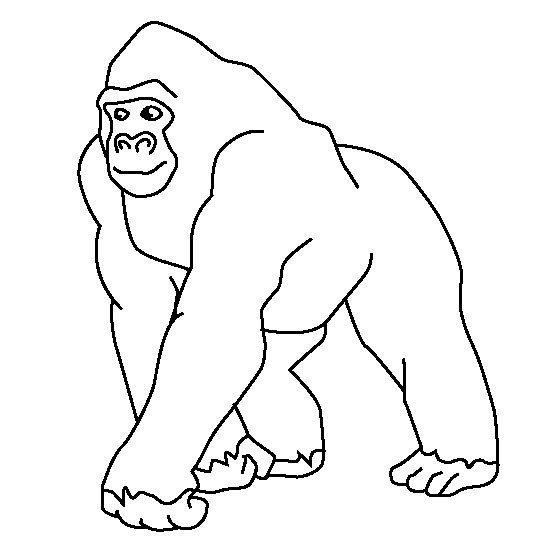 动物简笔画图片 大猩猩简笔画