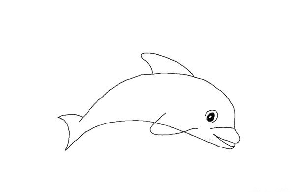 3.海豚的头部。它又圆又亮的大眼睛。眼珠涂上黑色，里面画上反光部分。