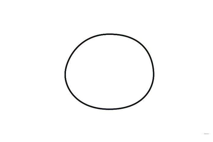 1.先画一个椭圆，作为泰迪熊的头部轮廓。