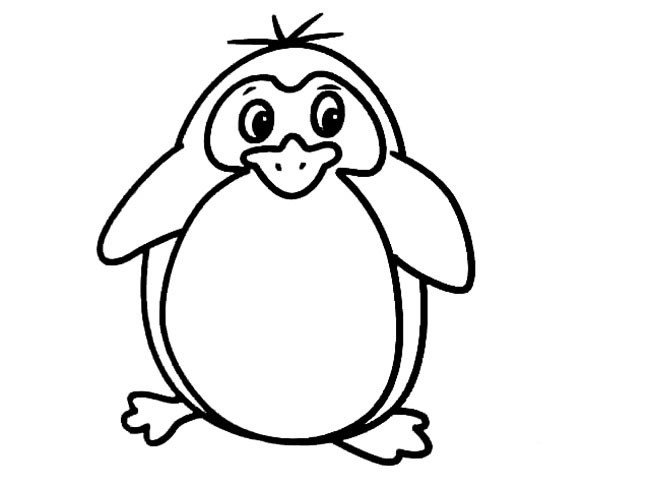 动物简笔画大全 小企鹅简笔画