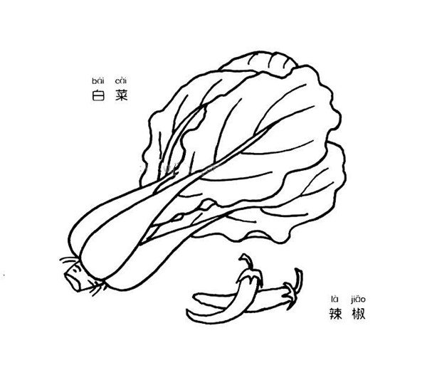 白菜和辣椒简笔画图片