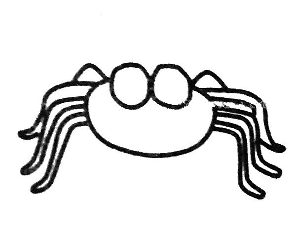 卡通蜘蛛简笔画步骤3