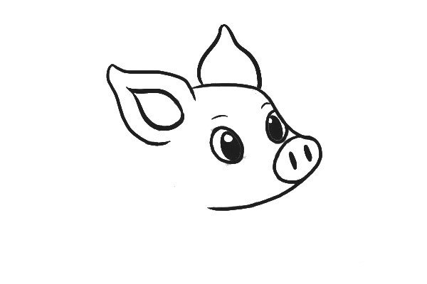 3.勾画出小猪耳朵的厚度，再给它画上两只可爱的大眼睛和眉毛。