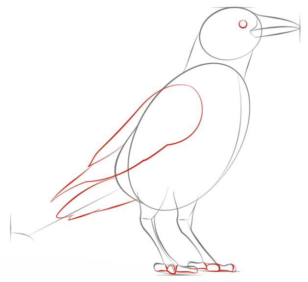 如何画一只乌鸦