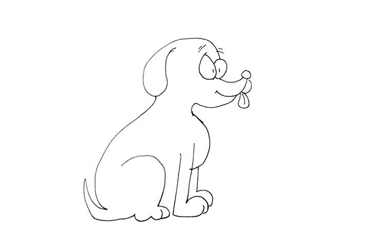 11.画出完整的后腿和尾巴， 这样坐着的小狗就画好了。
