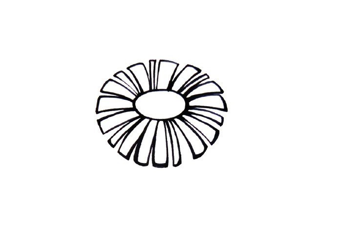 步骤二：围绕椭圆画雏菊的花瓣