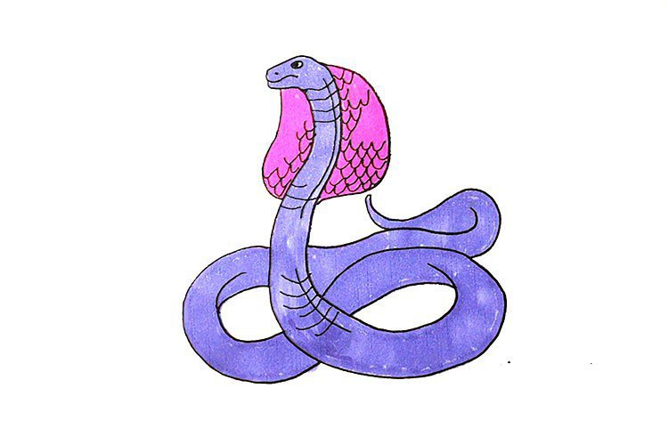 第七步：最后我们把眼镜蛇涂上自己喜欢的颜色把。