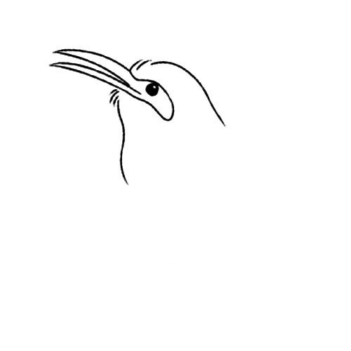 2.画出喜鹊的眼睛。