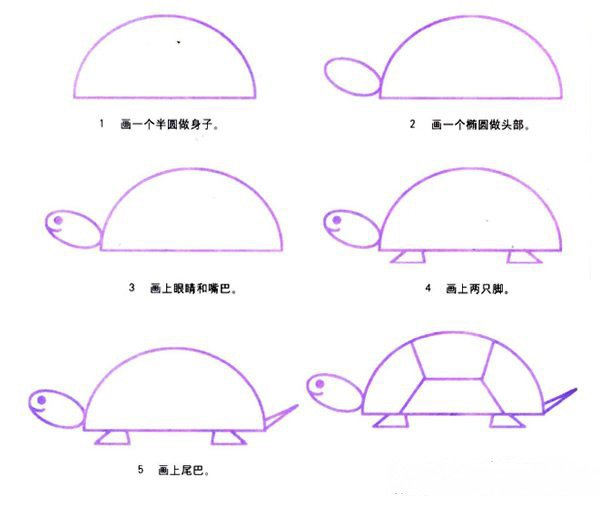卡通乌龟的画法图片教程