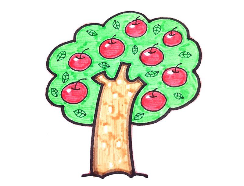 彩色苹果树简笔画